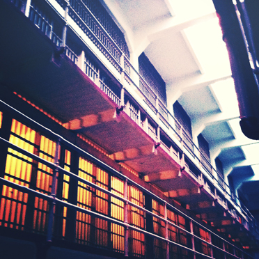 The cells